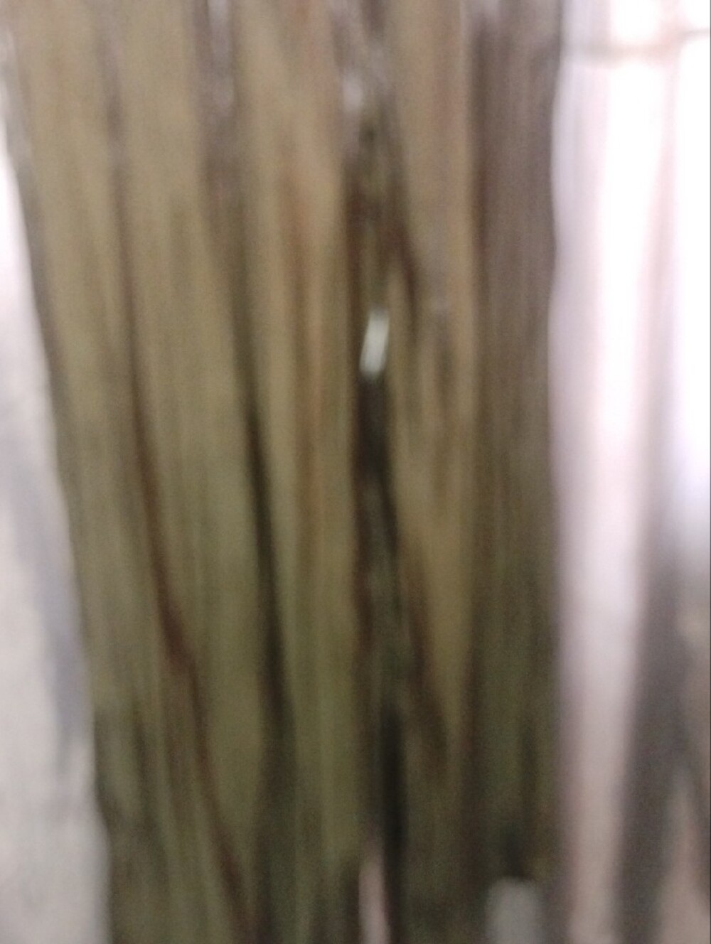 Line & Dot Olive Pleated Sleeveless Wide-Leg Jumpsuit - Picture 3 of 6